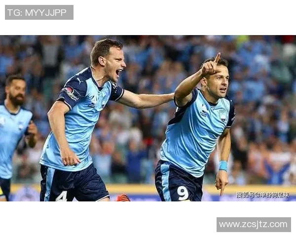 惠灵顿与悉尼足球对决比分预测分析及赛前展望